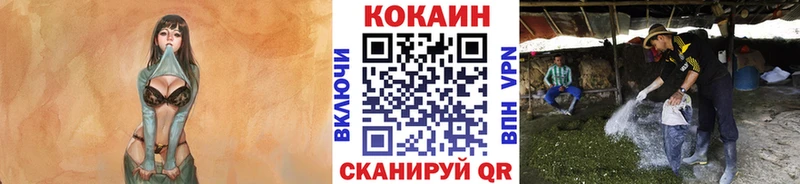 blacksprut зеркало  Майкоп  COCAIN Колумбийский 