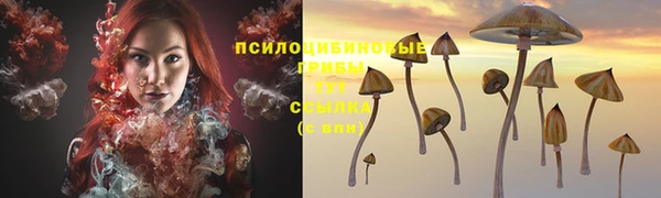 молекула духа Волосово