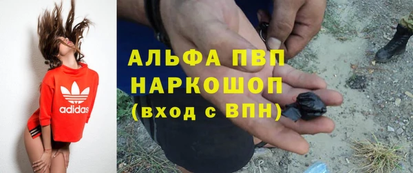 молекула духа Волосово