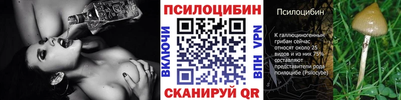 Галлюциногенные грибы Psilocybine cubensis  Майкоп 